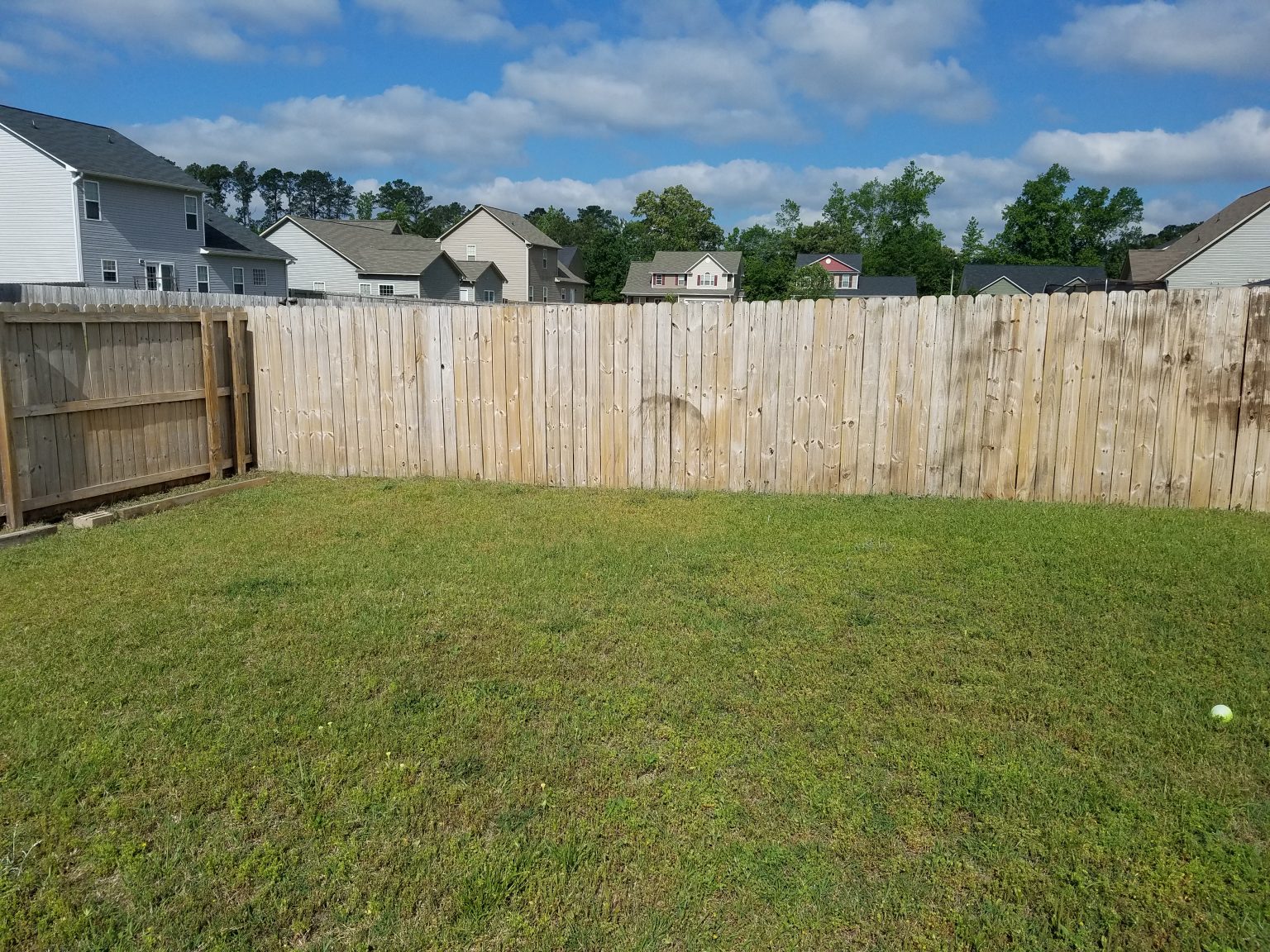 Fence & Deck Staining